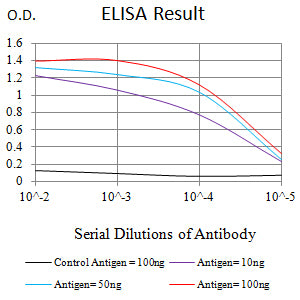 Mouse Monoclonal Antibody to RRM1