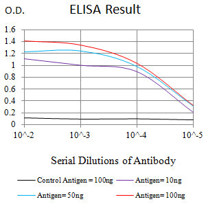 Mouse Monoclonal Antibody to RRM1