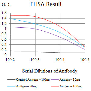 Mouse Monoclonal Antibody to ERCC1