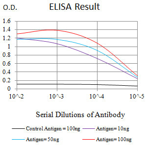 Mouse Monoclonal Antibody to VIM