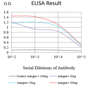 Mouse Monoclonal Antibody to MLH1