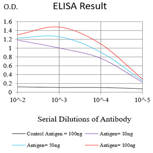 Mouse Monoclonal Antibody to CCNE1