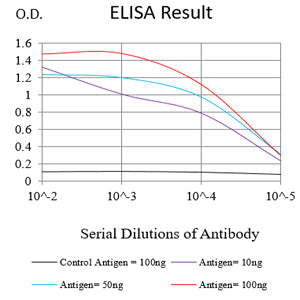 Mouse Monoclonal Antibody to CCNE1