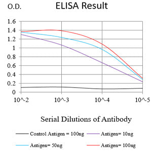 Mouse Monoclonal Antibody to MDM2
