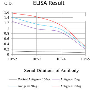 Mouse Monoclonal Antibody to PAX2