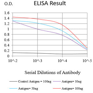 Mouse Monoclonal Antibody to HAS1