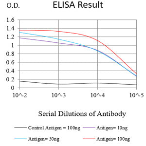Mouse Monoclonal Antibody to PAX8