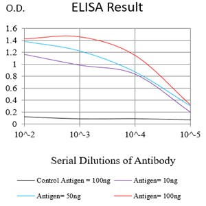 Mouse Monoclonal Antibody to PAX2