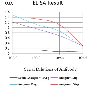 Mouse Monoclonal Antibody to NCAM1