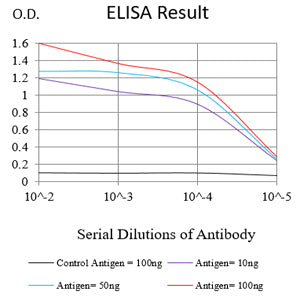 Mouse Monoclonal Antibody to NCAM1