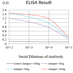 Mouse Monoclonal Antibody to MYLK