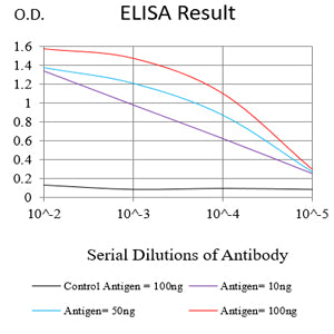 Mouse Monoclonal Antibody to SP17