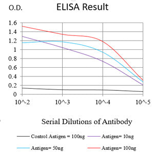 Mouse Monoclonal Antibody to ADAM10