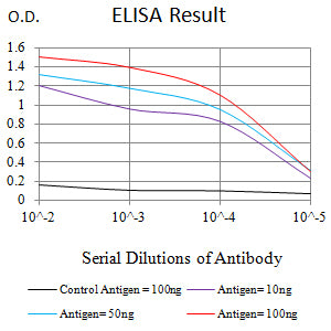 Mouse Monoclonal Antibody to WT1