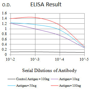 Mouse Monoclonal Antibody to NEFH