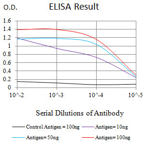 Mouse Monoclonal Antibody to CDKN1C