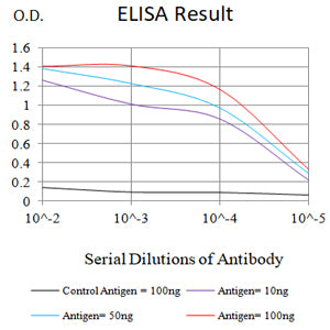 Mouse Monoclonal Antibody to SP17