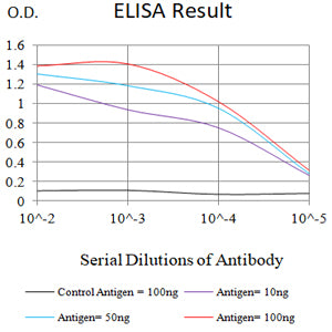Mouse Monoclonal Antibody to CD3D