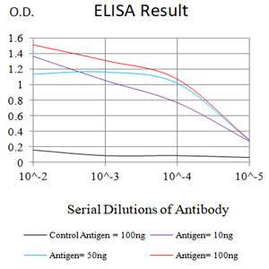 Mouse Monoclonal Antibody to SARS-CoV-2-NP3