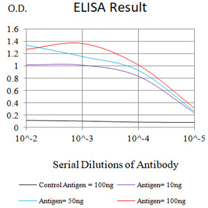 Mouse Monoclonal Antibody to SARS-CoV-2-NP3