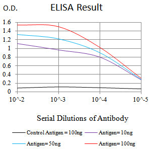 Mouse Monoclonal Antibody to CD147