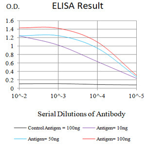Mouse Monoclonal Antibody to SARS-Cov2-NP2