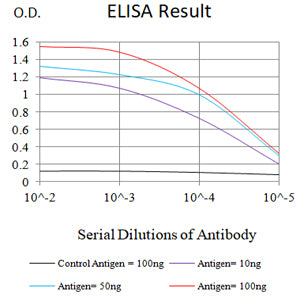 Mouse Monoclonal Antibody to SARS-Cov2-NP2