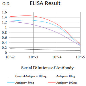 Mouse Monoclonal Antibody to CD99