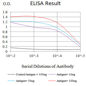 Mouse Monoclonal Antibody to CD99