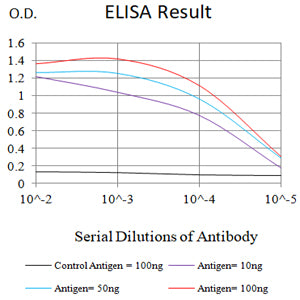 Mouse Monoclonal Antibody to GATA3