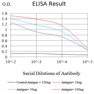 Mouse Monoclonal Antibody to GLUL
