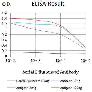 Mouse Monoclonal Antibody to GLUL