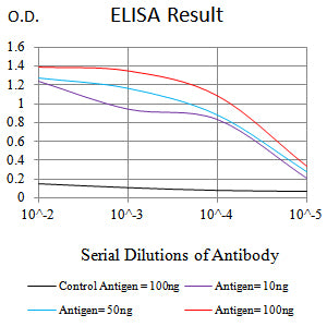 Mouse Monoclonal Antibody to CD10