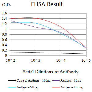 Mouse Monoclonal Antibody to CD34
