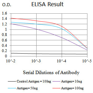 Mouse Monoclonal Antibody to FLI1