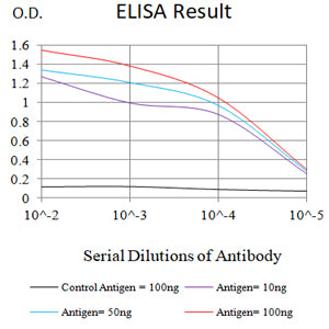 Mouse Monoclonal Antibody to SARS-Cov2-NP1