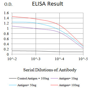 Mouse Monoclonal Antibody to CD57