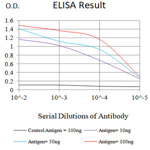Mouse Monoclonal Antibody to GZMB