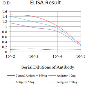 Mouse Monoclonal Antibody to CTNNB1