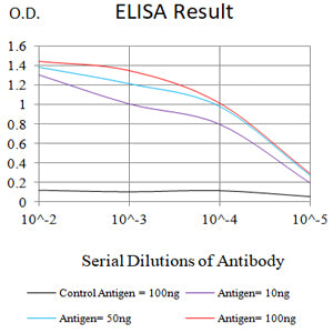 Mouse Monoclonal Antibody to CLDN6