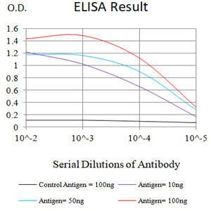 Mouse Monoclonal Antibody to CDX2