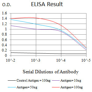 Mouse Monoclonal Antibody to CD21