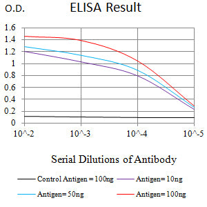 Mouse Monoclonal Antibody to CCND1