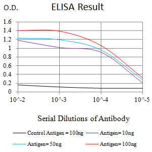 Mouse Monoclonal Antibody to CCND1