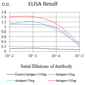 Mouse Monoclonal Antibody to PAX8