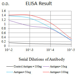 Mouse Monoclonal Antibody to ERCC1