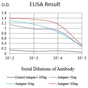 Mouse Monoclonal Antibody to KRT13