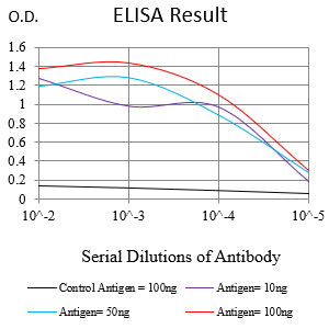 Mouse Monoclonal Antibody to KRT13
