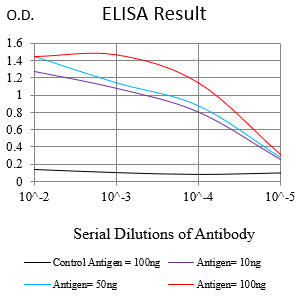 Mouse Monoclonal Antibody to MSH6