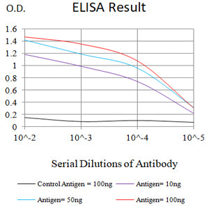 Mouse Monoclonal Antibody to CD40